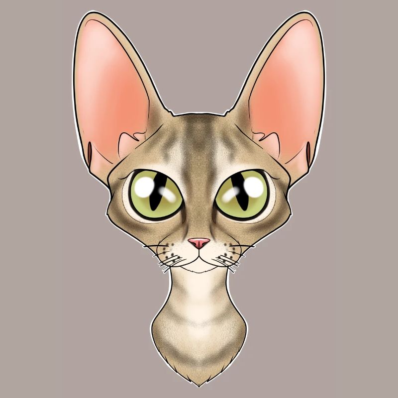Cat Lover I Cat Face I Devon Rex Cat