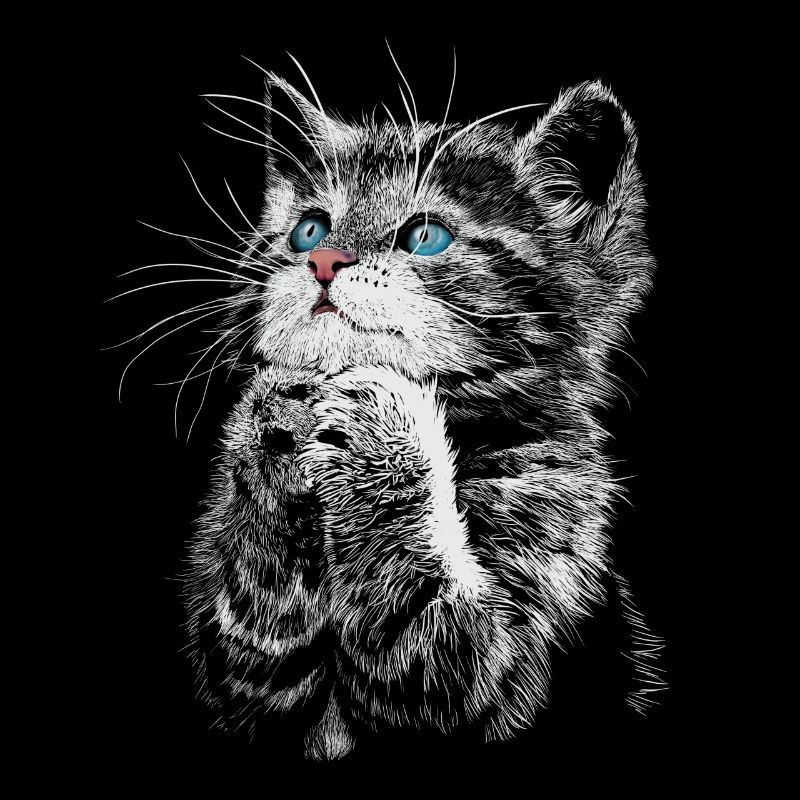 cat