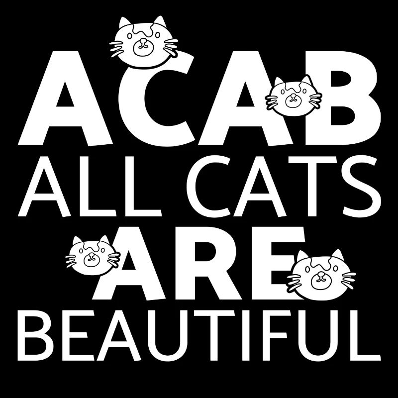 Chat chaton miaou chat domestique oeil de chat