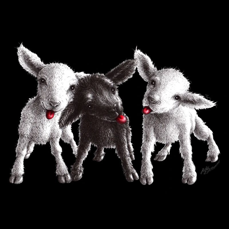 mouton effronté