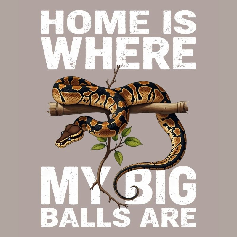 Python roi Serpents Amateurs de terrarium Python