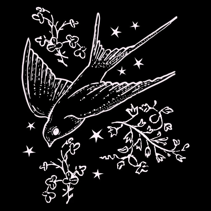 Swallow flight in star flight