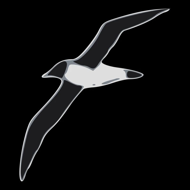 Albatros im Flug Graustufen Design