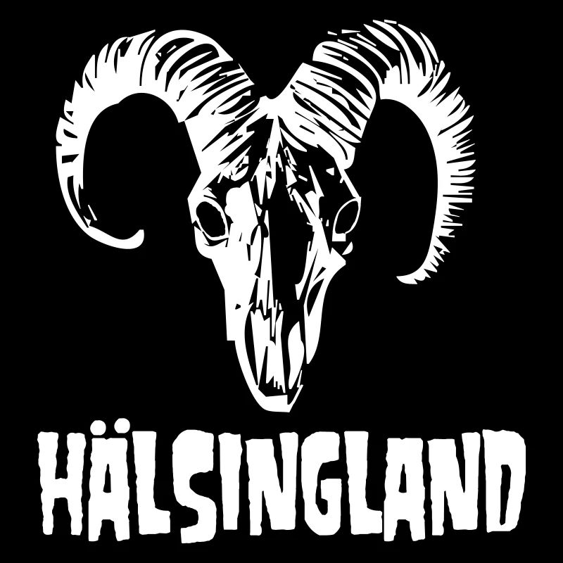 Hälsingland Metall
