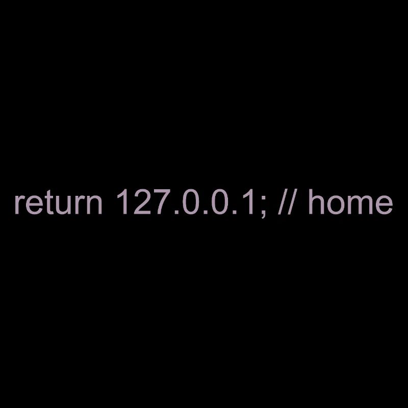 Programmer Nerd IT Joke Developer Home