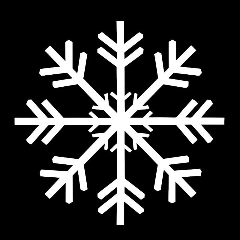 flocon de neige aux formes naturelles