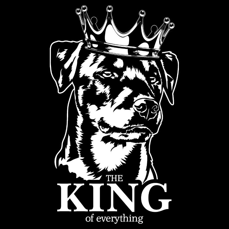 Deutscher Jagdterrier King of everything Wilsigns