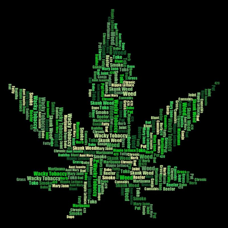 Marijuana grass hemp THC cannabis