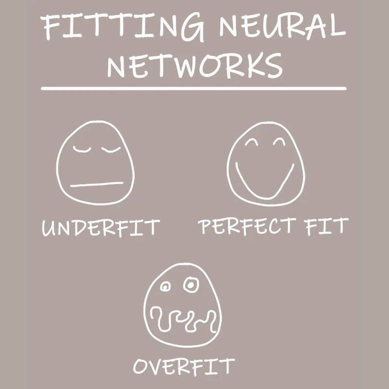 Datascience: Neural Networks Model Fitting (White)