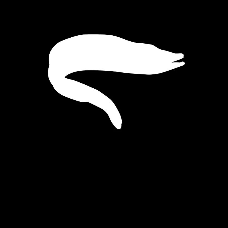 eel