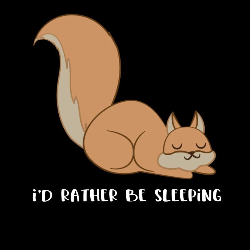 Squirrel - squirrel fan - sleeping