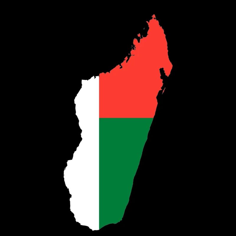 Madagascar map flag flag