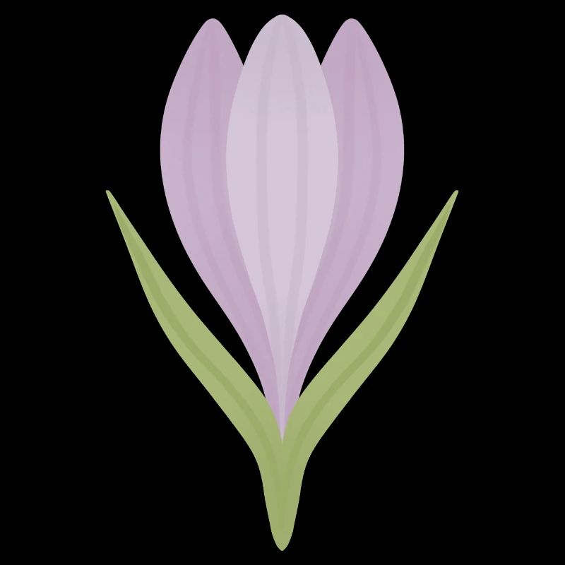 Lilac Crocus Bloom Illustration