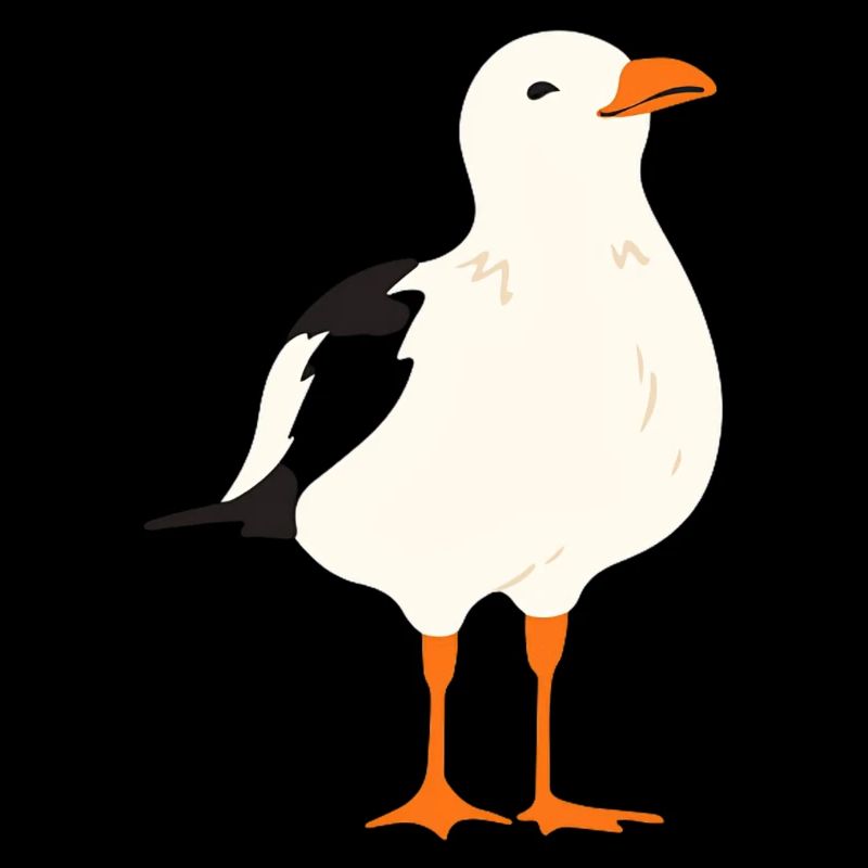 Möwe