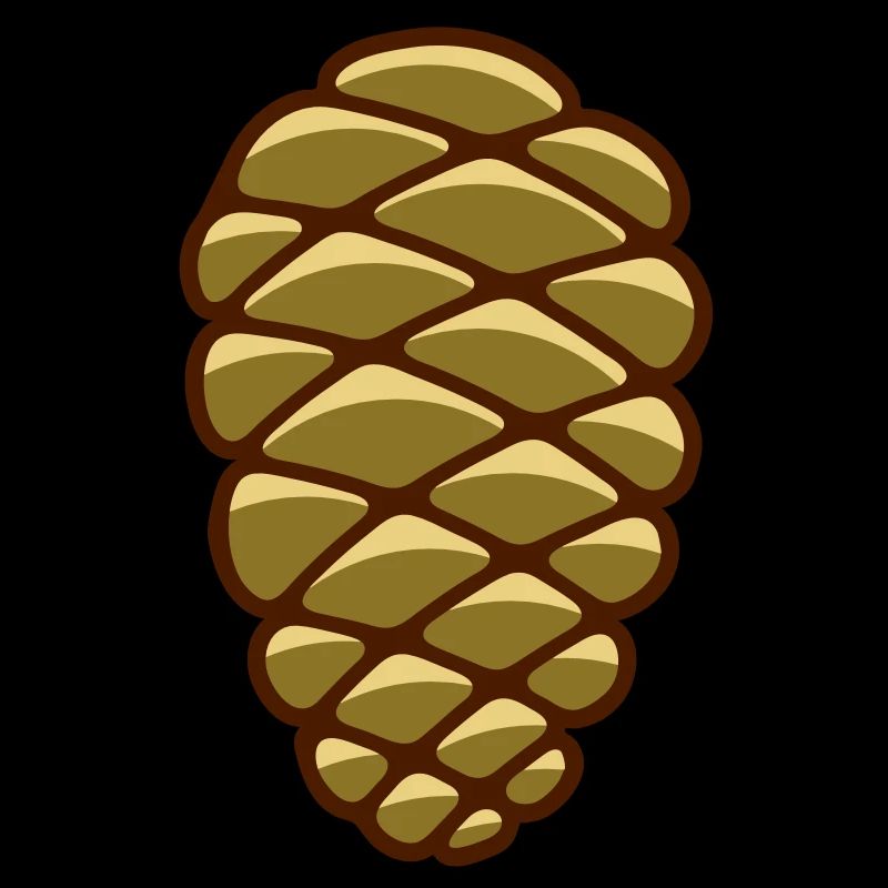 Un cône de pin