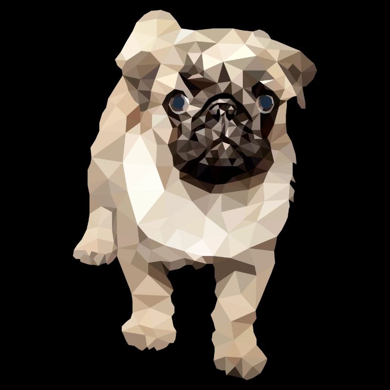 Mops Polygon Hund