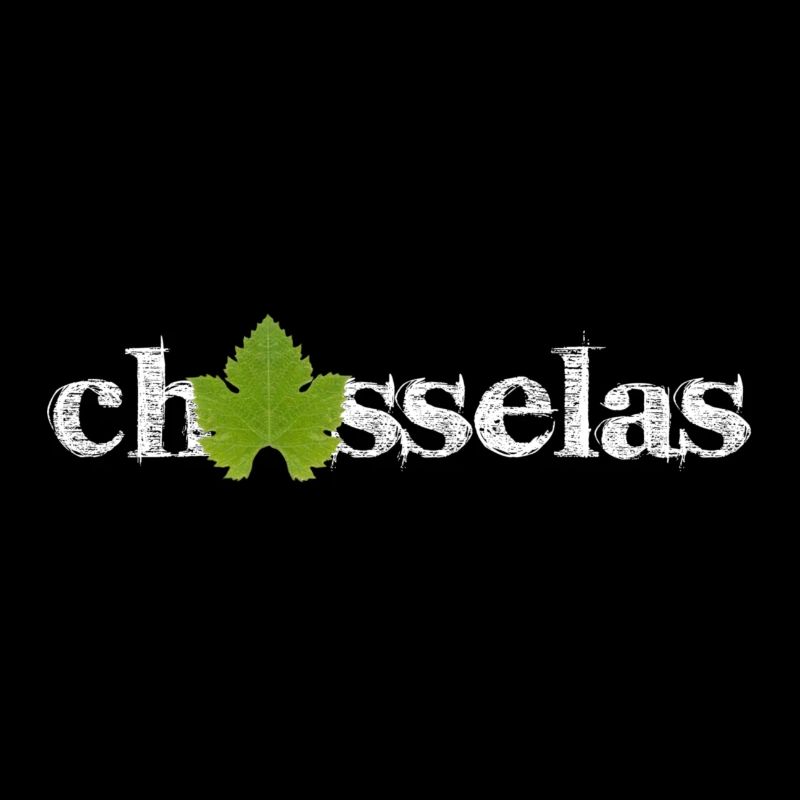 Chasselas classique