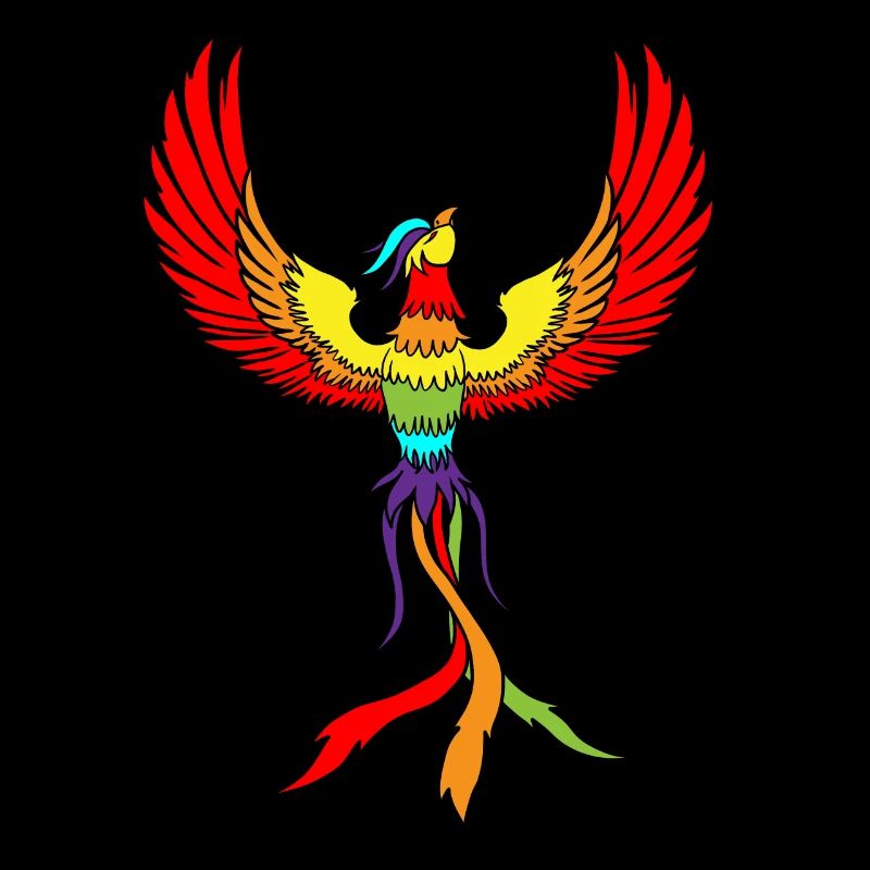 Phoenix Vogel Zeichnung Vögel Federn