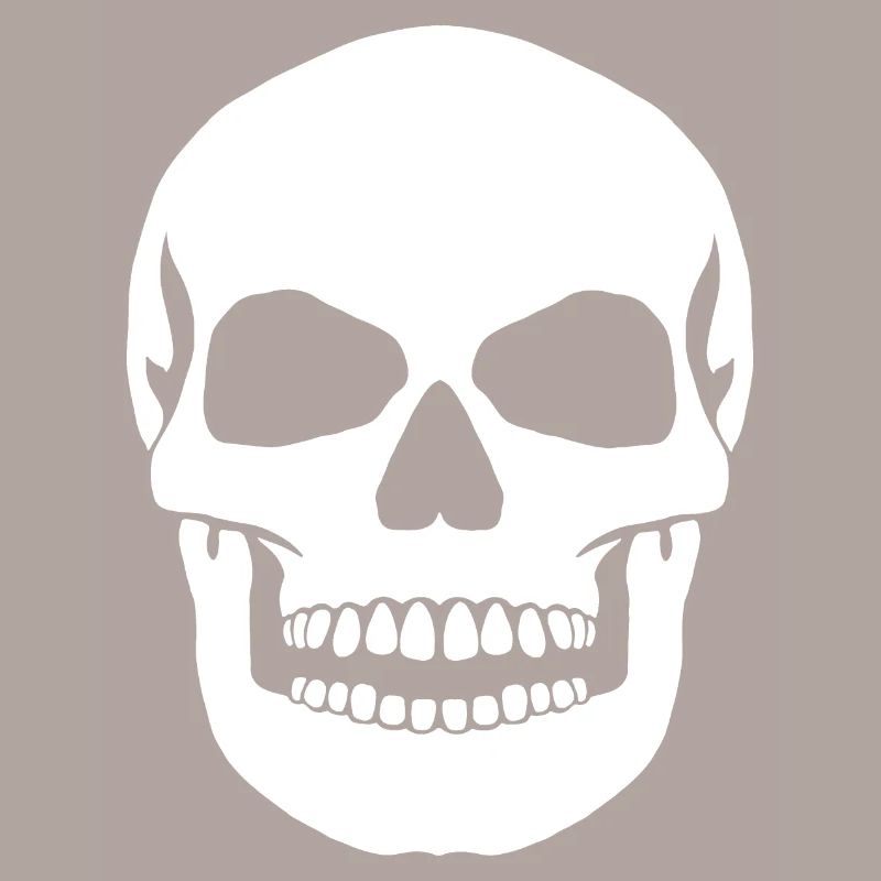Big Skull
