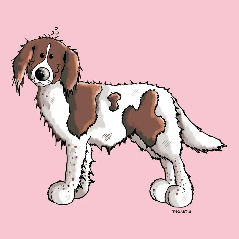 Knuffiger Münsterländer