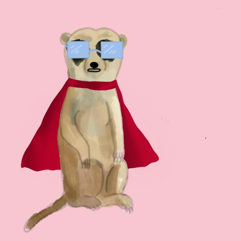 Erdmännchen SuperHero Cool Boy hey fred superheld