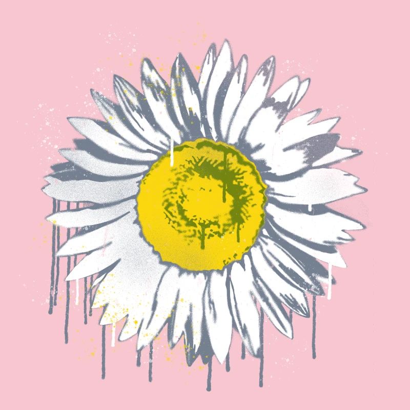 Daisy Stencil Graffiti Fleur Margerite