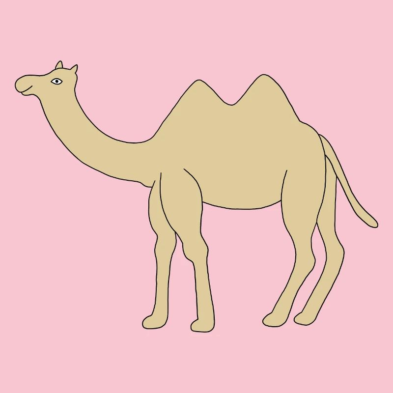 Einsames Kamel