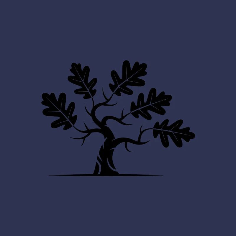 Oak Bonsai Tree
