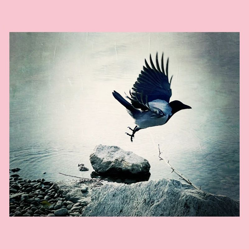 Crow's Flight
