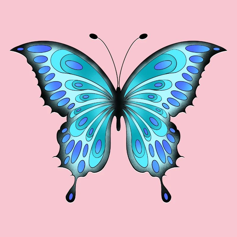 Papillon