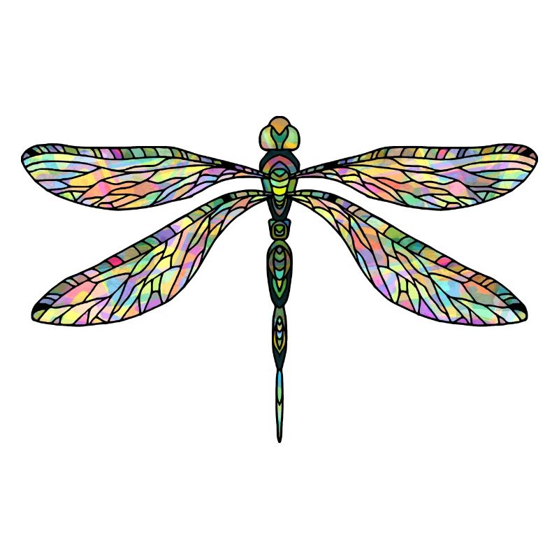 Libellule