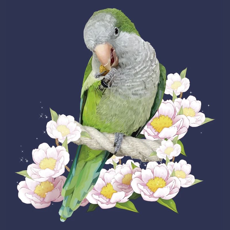 Perruche d’Argentine