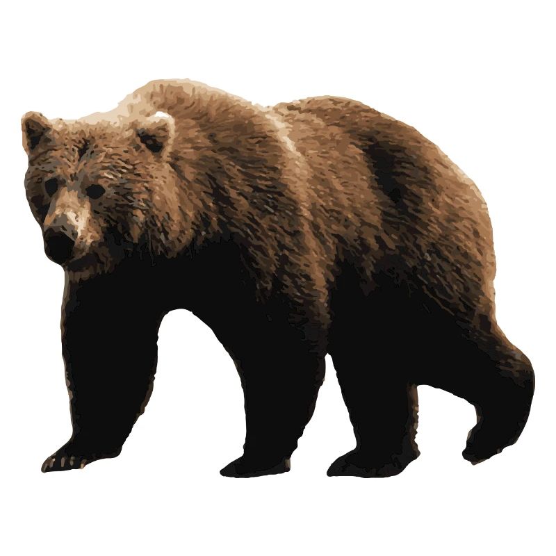 Ours Brun