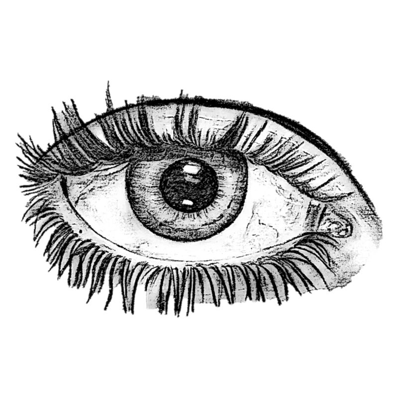 OEIL