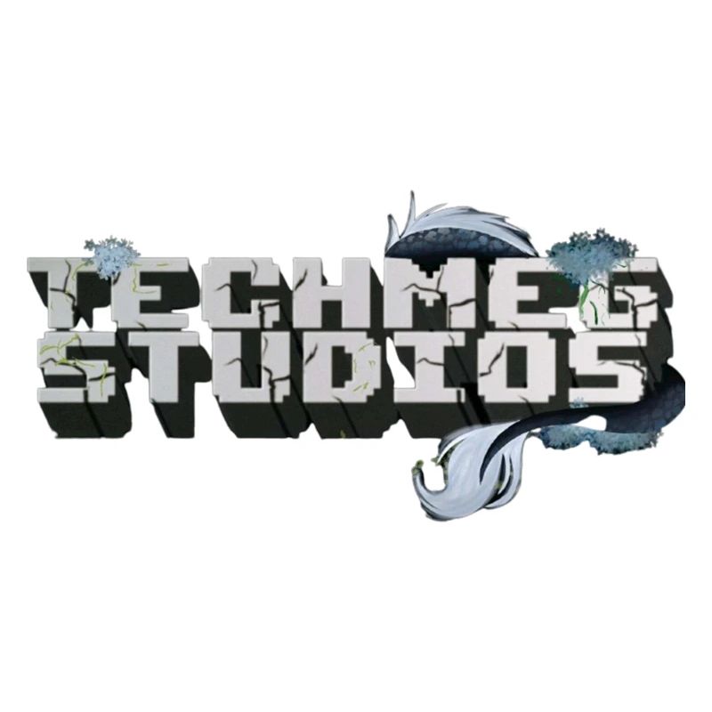 Techmeg Studios