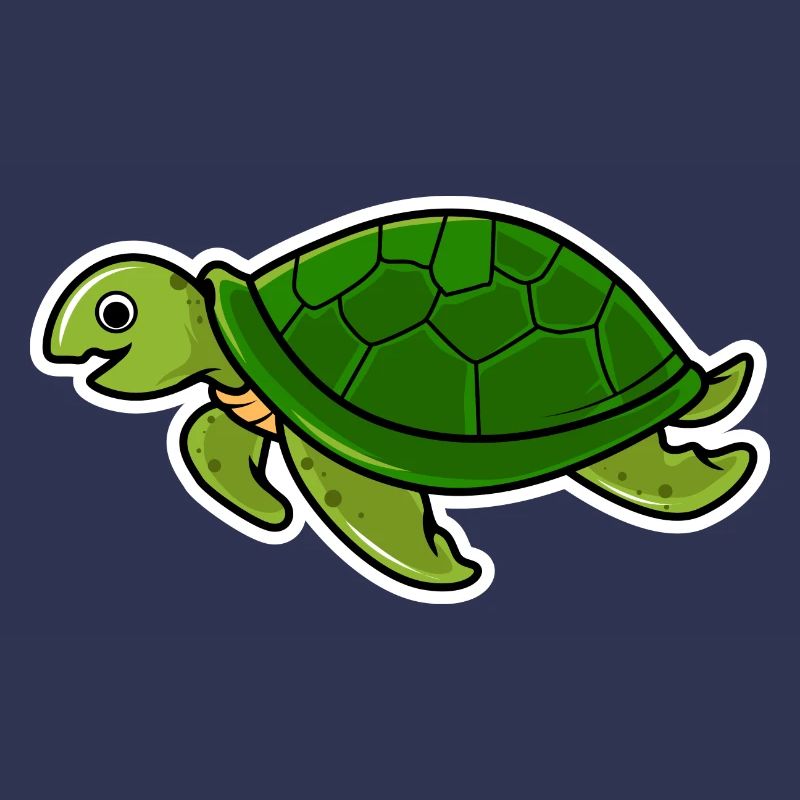 turtle