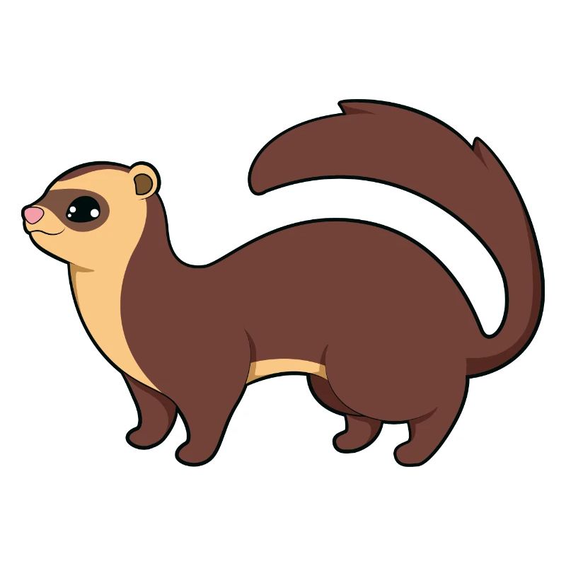 Ferret