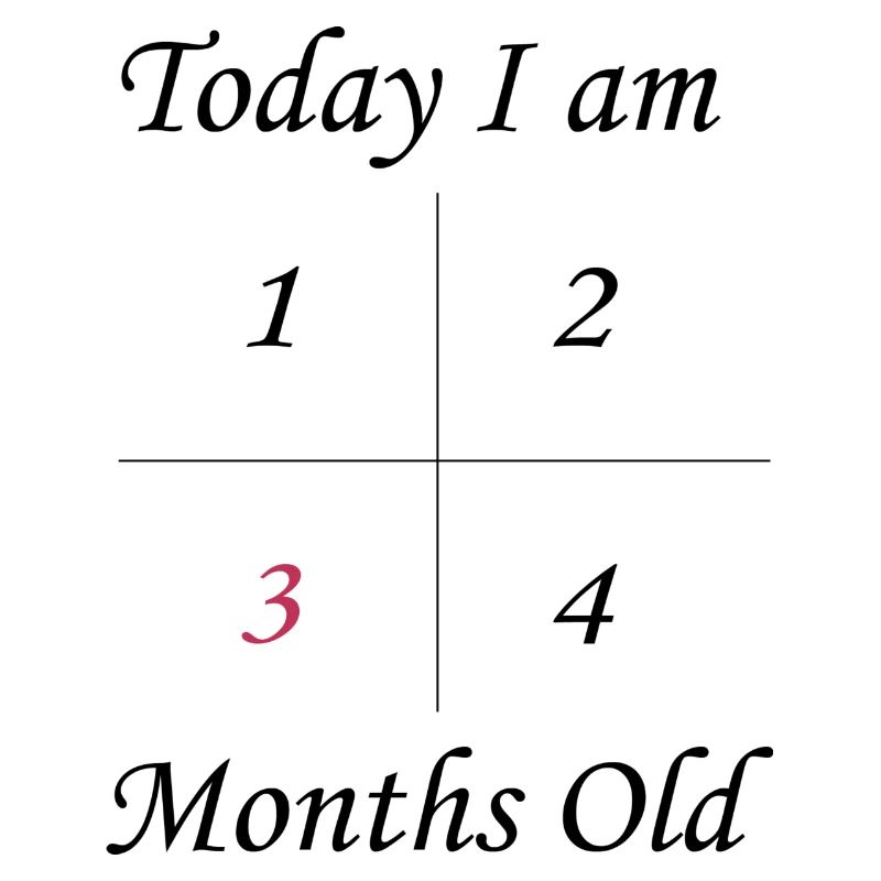 3 Monate alt