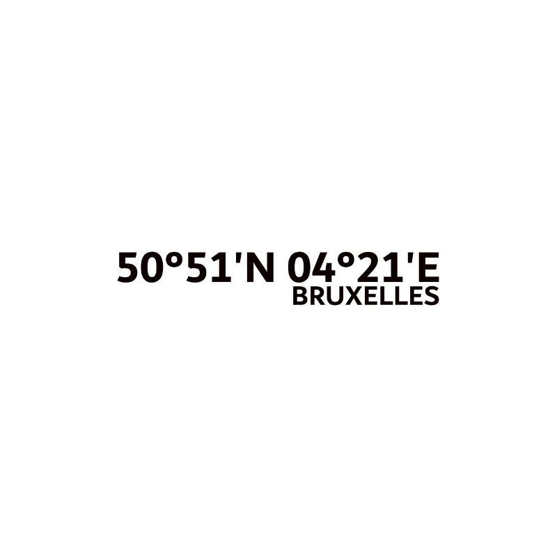 Brussels coordinates