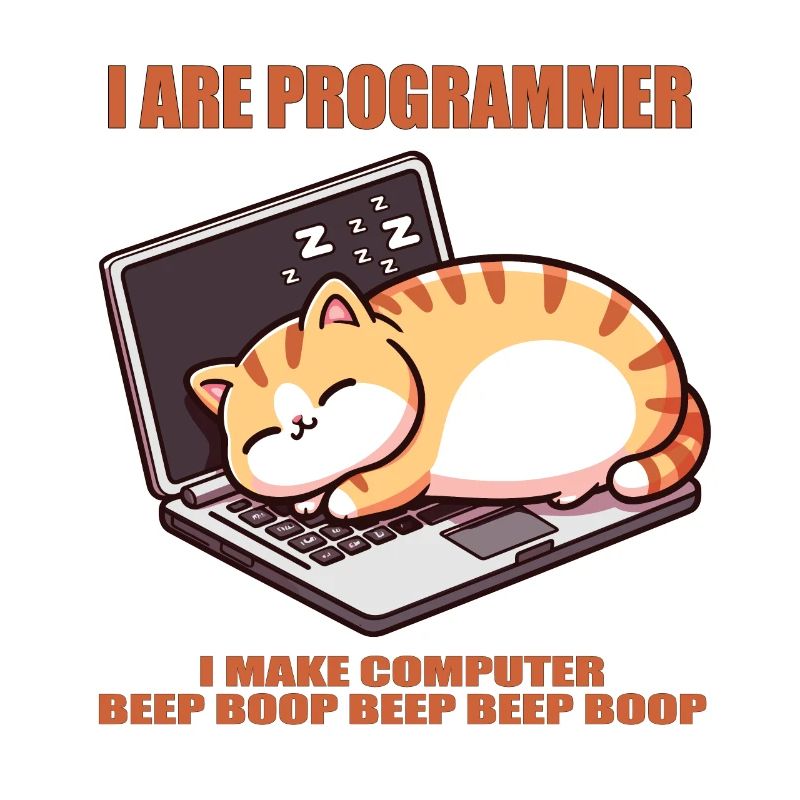 Ich bin Programmierer, fette schlafende Katze
