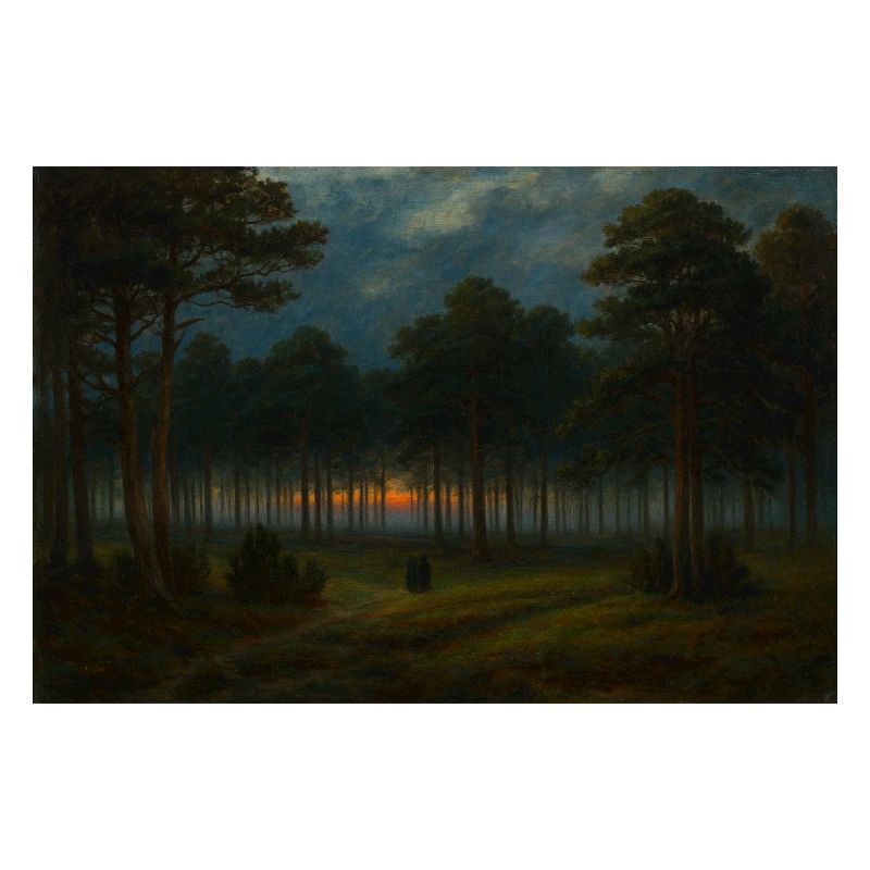 Abenddämmerung im dunklen Wald