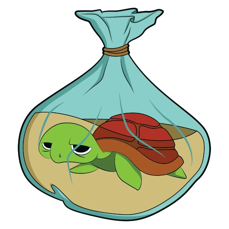 Turtle Climate Change Pollution