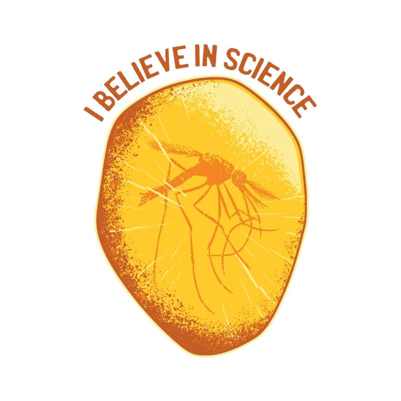 amber mosquito Mücke Moskito Bernstein science