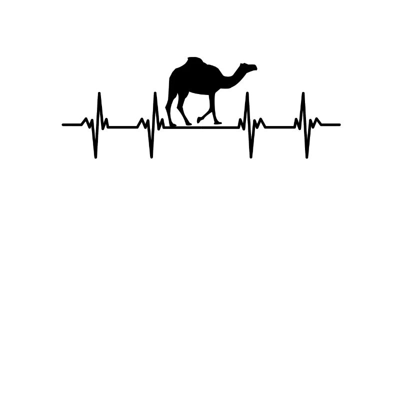 Kameler trampar djuröknen Arabien Dromedar kamel