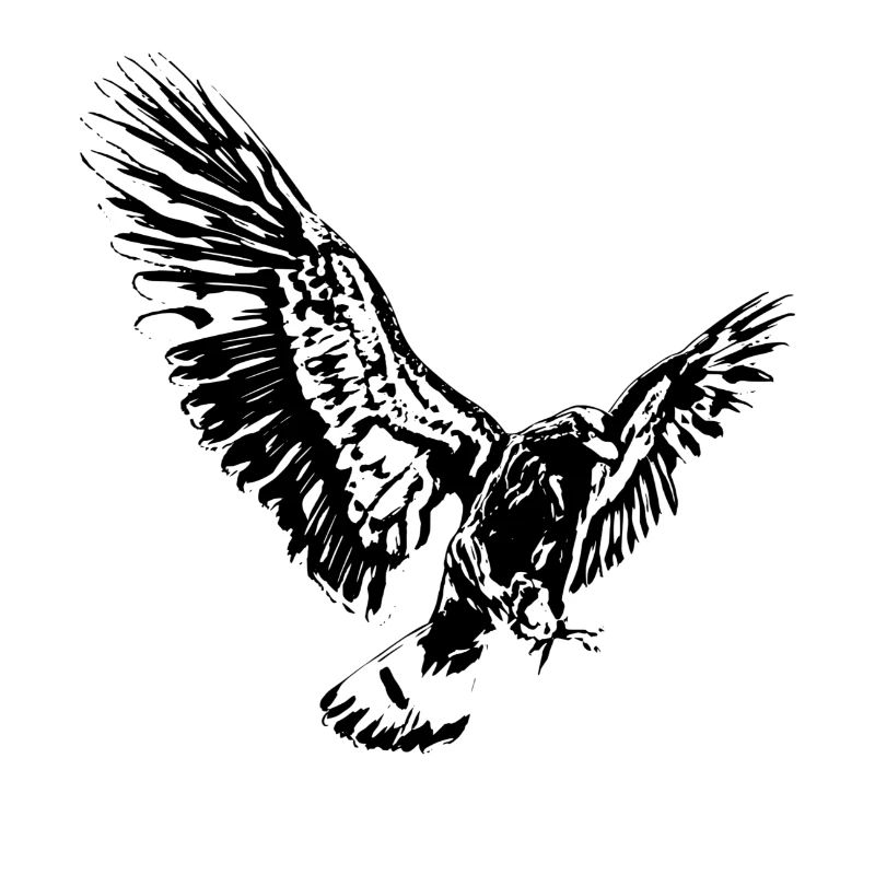 Eagle
