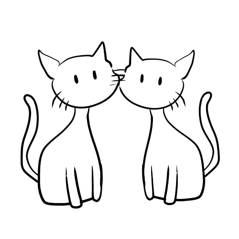 deux amis chats mignons