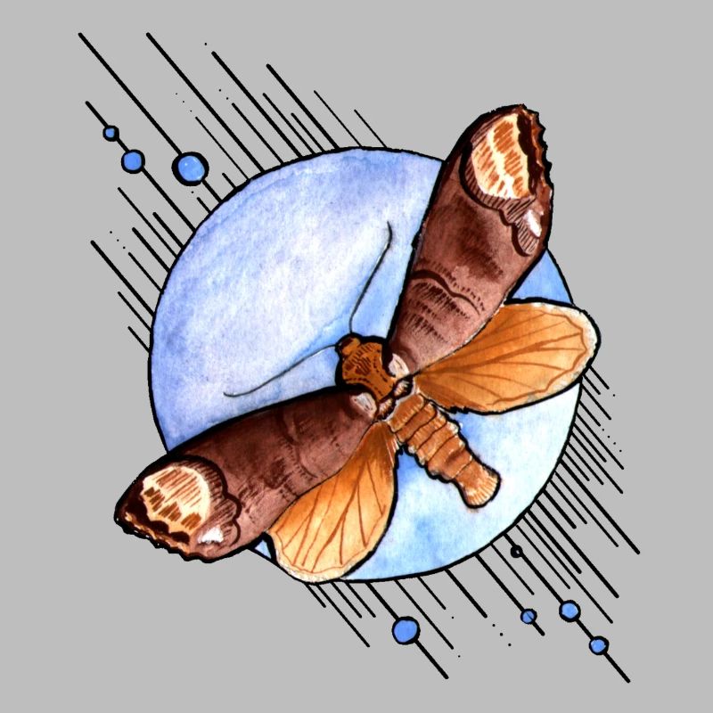 Moth