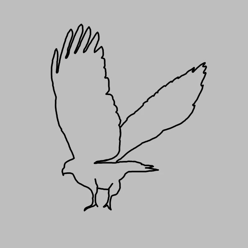 buizerd