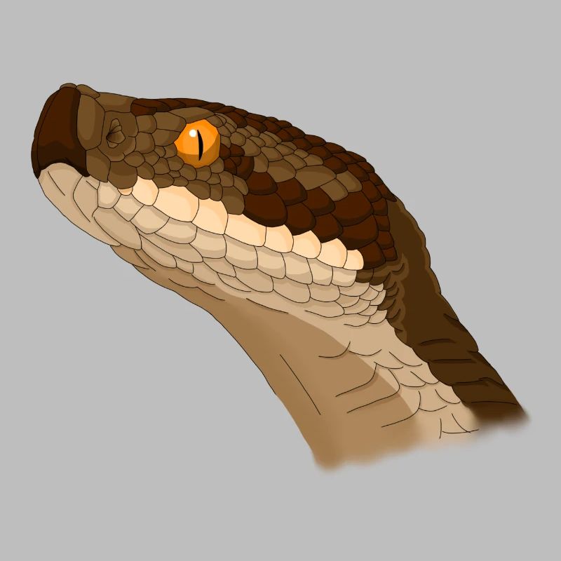 Viper Aspic