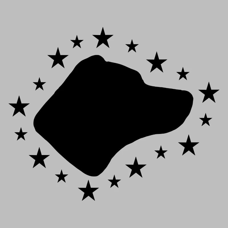 Jack Russell Terrier